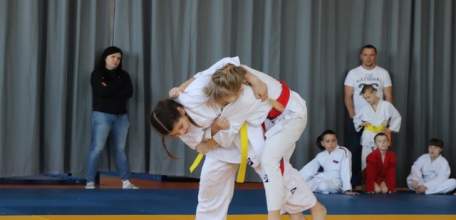 30 марта состоялось Открытое Первенство Елецкого района по дзюдо на призы газеты «В краю родном»