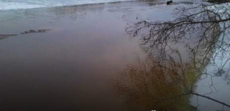 В Липецкой области обнаружили золотую жилу!