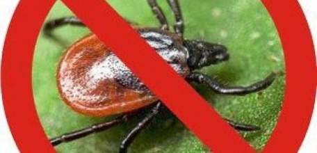 4 АПРЕЛЯ с 6:00 УТРА планируется обработка от клещей территории ГОРОДСКОГО ПАРКА И ПАРКА ЖЕЛЕЗНОДОРОЖНИКОВ!