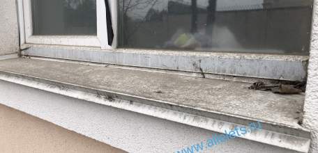 Жители улицы Коммунаров задыхаются от пыли!!! Мыть окна бесполезно!