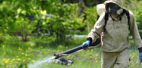 В Ельце завтра будет обработка от клещей