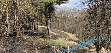 Особый противопожарный режим на территории региона вводится с 23 апреля по 1 июня