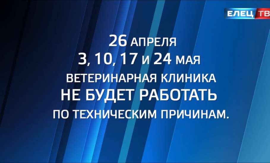 Пять суббот подряд ветклиника на ул. Пожарной не будет работать по техническим причинам