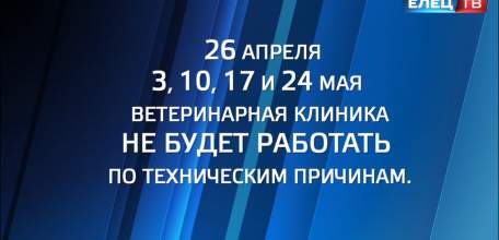 Пять суббот подряд ветклиника на ул. Пожарной не будет работать по техническим причинам