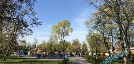 Ельчанка лишилась 500 000 рублей, поверив мошенникам!