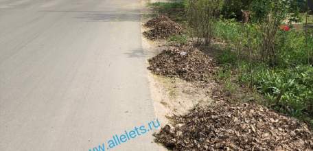 На некоторых улицах Ельца, даже в центре, полностью отсутствуют тротуары! Почему глава города за 5 лет не сделал?!