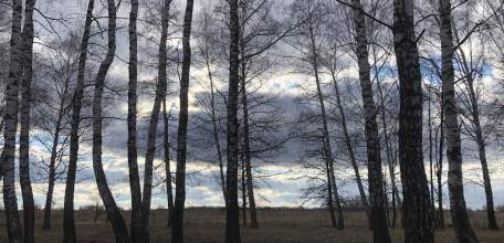 Житель Липецкой области арестован за подготовку теракта