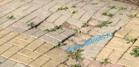 Почему сквер Харченко в Ельце до сих пор в ужасном состоянии?! Провал в плитке перед детской площадкой и негодные лавки!