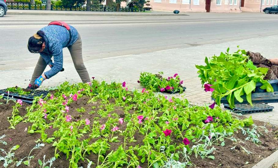 В Ельце началась высадка цветов
