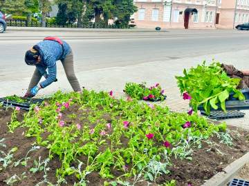 В Ельце началась высадка цветов