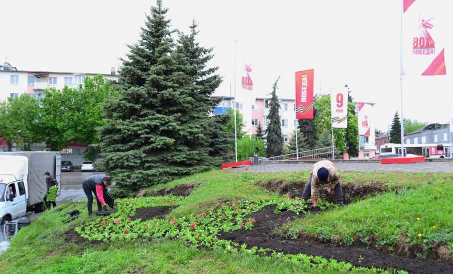В Ельце продолжают высаживать цветы!