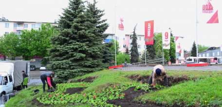 В Ельце продолжают высаживать цветы!