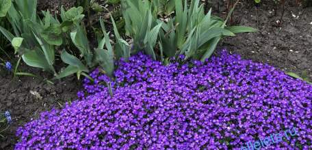 Отбой Красного уровня "Угроза атаки БПЛА" для г. Ельца и Елецкого МР!