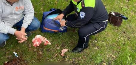 Сегодня произошло новое ДТП в Липецкой области. С участием квадроцикла