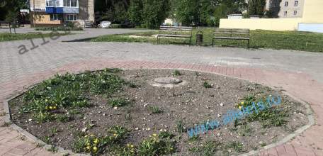 С наступающим праздником, ельчане! С 9 мая!