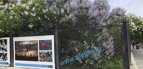 Почему в Ельце завесили старыми баннерами 2024 года старинную и уже ржавую ограду Горсада?!