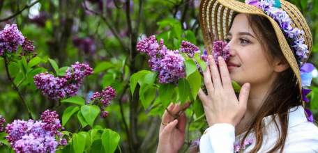 Фестиваль «Сиреневый рай» в девятый раз пройдёт в Липецкой области