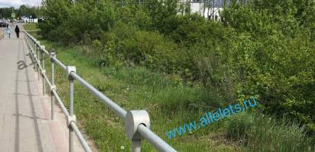 В Ельце дамба заросла деревьями и превратилась в лес!