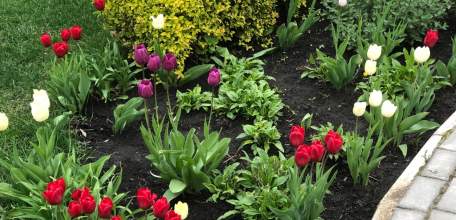 Пенсионеров могут освободить от уплаты налога на садовый дом