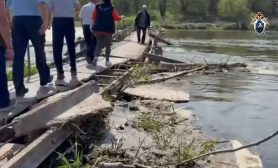В Липецкой области организована доследственная проверка по сообщению в соцмедиа об аварийном состоянии пешеходного моста в Елецком районе!