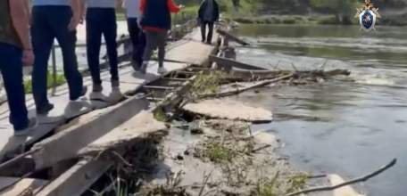 В Липецкой области организована доследственная проверка по сообщению в соцмедиа об аварийном состоянии пешеходного моста в Елецком районе!
