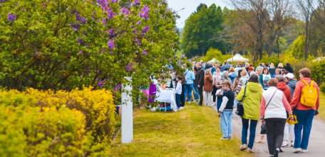 «Сиреневый рай» расправил свои лепестки в Становлянском округе!