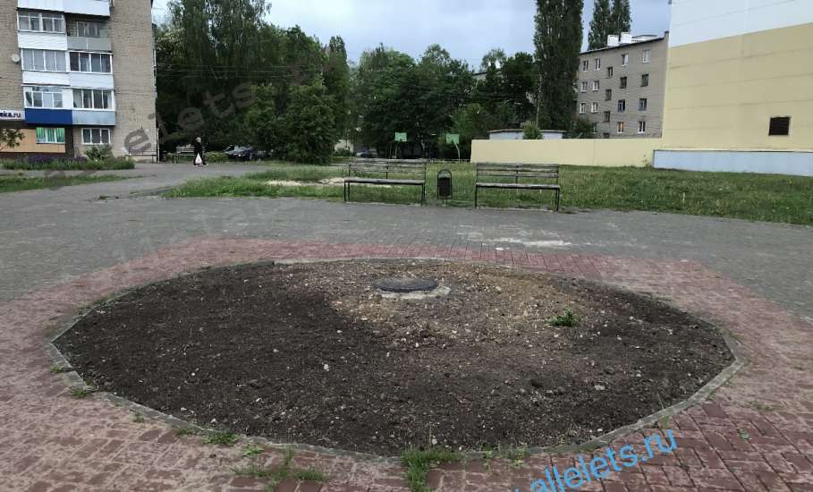 В сквере-пустыре с клумбы вырвали даже последние одуванчики!