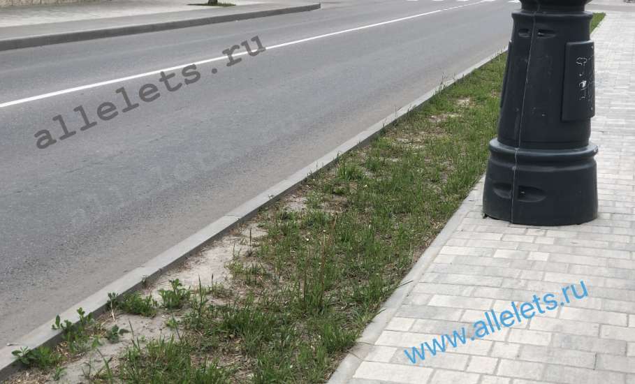 В Ельце стыдобище, а не благоустройство города!