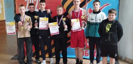 Юные елецкие боксеры завоевали награды Первенства по боксу в Тербунском районе