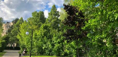 Минобороны: ПВО сбила 127 украинских беспилотников над Россией