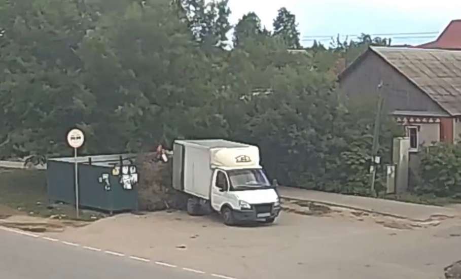 Вчера в Ельце неизвестный из «Газели» выбросил на мусорку днём новогодние ёлки, а вечером забрал назад!