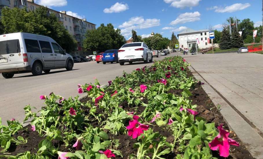 На Площади Победы посадили цветы