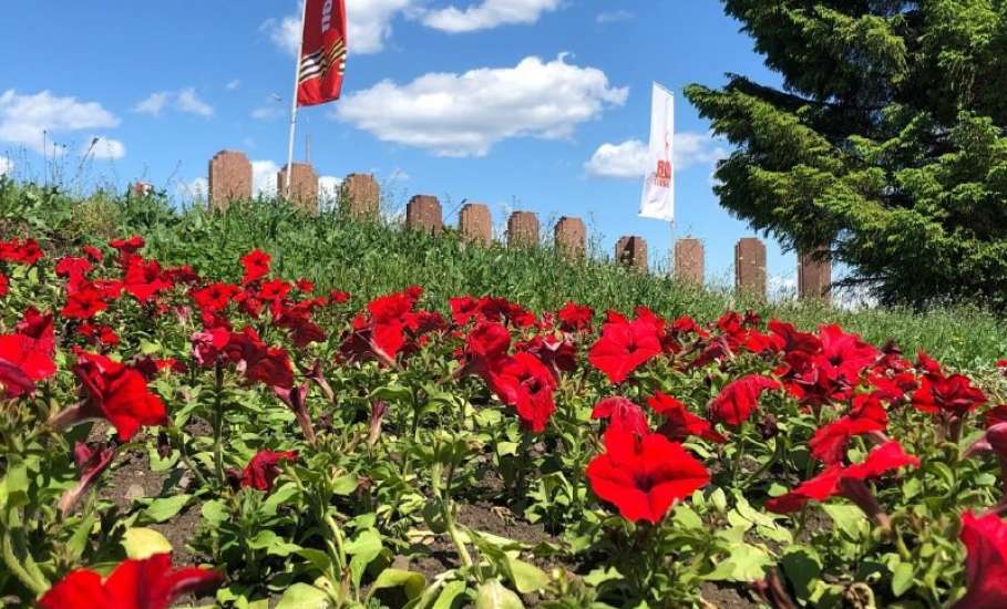 На Площади Победы посадили цветы