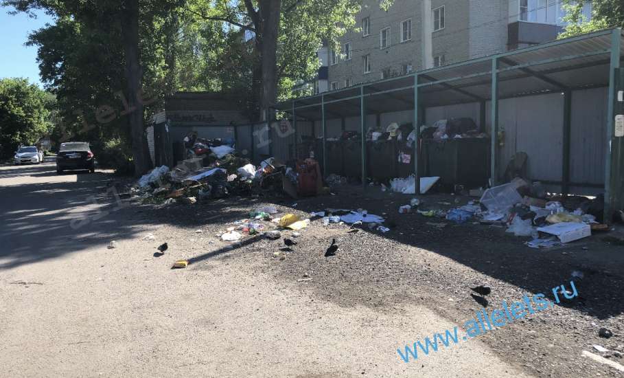 Жители Ельца давно хотят лишить лицензии «Тэко Сервис», за несвоевременную уборку мусора!