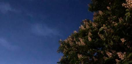 21:52 Звучит сирена в Ельце! Угроза атаки БПЛА!