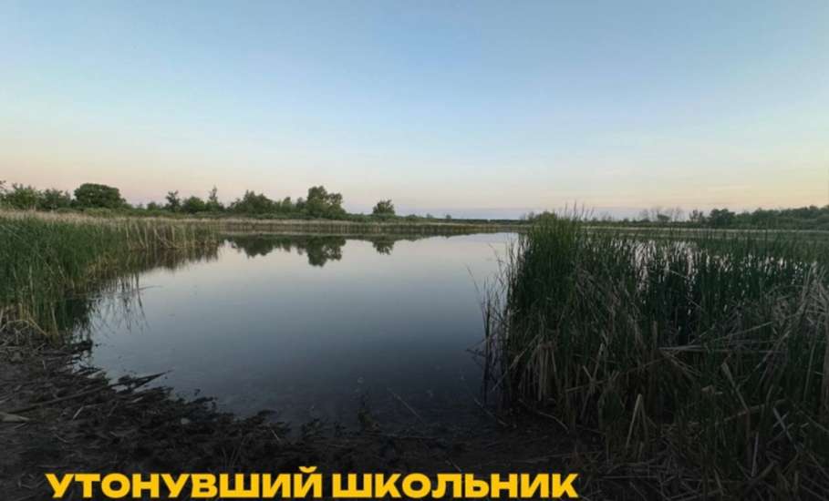 Стали известны подробности гибели 16-летнего школьника в пруду деревни Екатериновки в Долгоруковском округе 24 мая