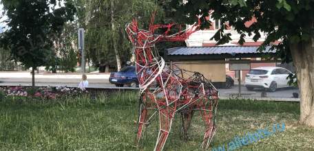 Несовершеннолетняя ельчанка провернула аферу с банковской картой знакомой