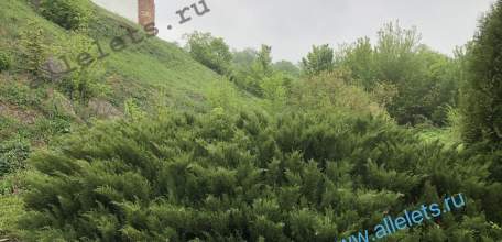 В Ельце завершено расследование уголовного дела в отношении несовершеннолетней, обвиняемой в убийстве бабушки