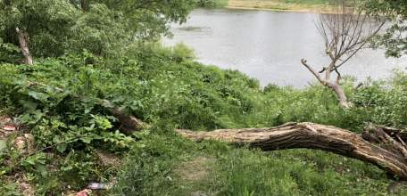 В Ельце загадили родник на реке Сосне!