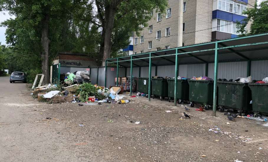 Жители Ельца стали жаловаться на несвоевременный вывоз мусора и несанкционированные свалки в РЭО Радар!