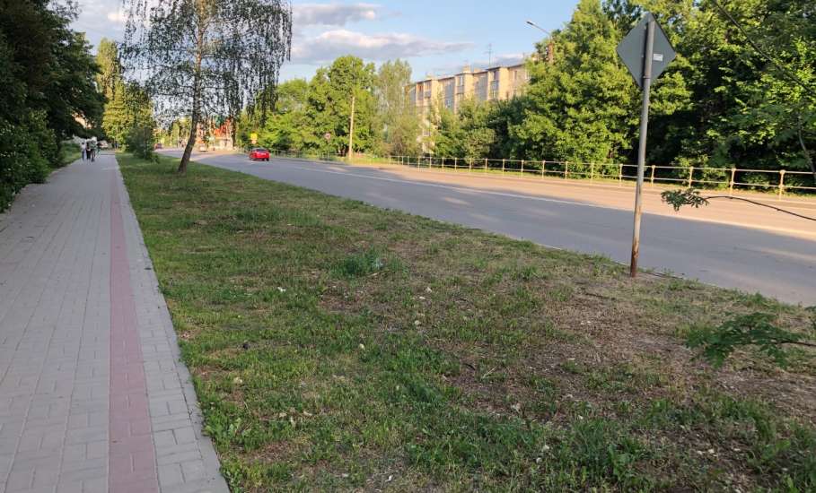 В Ельце под покровом ночи выпилили и вывезли по улице Свердлова высохшие рябины! Какой позор администрации Ельца!