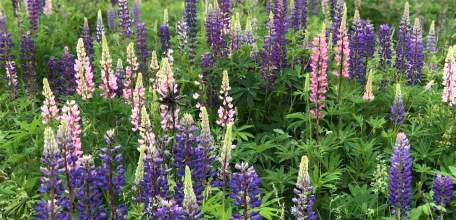 Отбой красного уровня "Угроза атаки БПЛА"