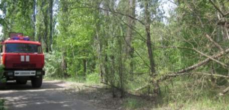 Простые правила пожарной безопасности для садоводов и дачников