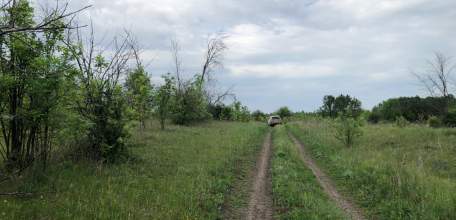 У ельчан начнут изымать земельные участки из-за сорняков, мусора и отсутствия построек!