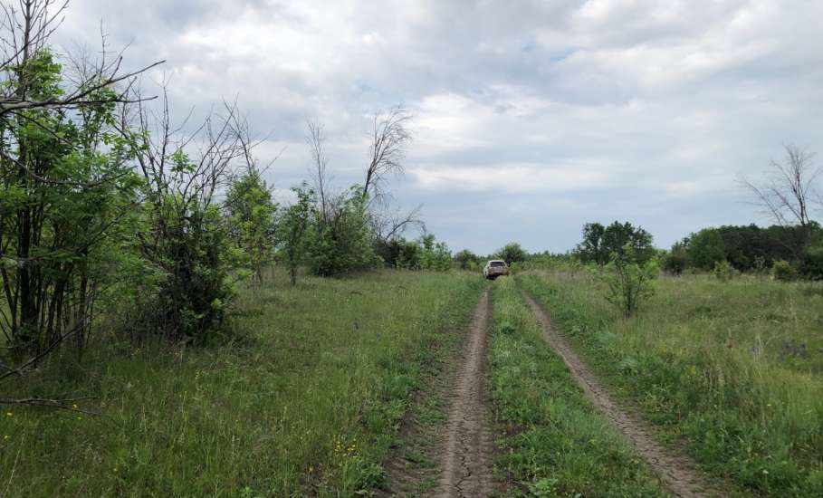 В Липецкой области прокуроры выявили 10, 5 тыс. га земель сельхозназначения, не вовлеченных в сельскохозяйственную деятельность!