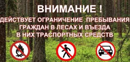 Ограничение пребывания граждан в лесах и въезд в них транспортных средств вводятся с 5 по 25 июня в Липецкой области!