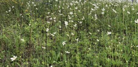Тепловоз сошел с рельсов из-за подрыва путей в Белгородской области!