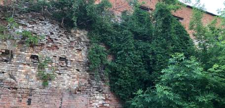 В Ельце обнаружилась  «Стена плача»!