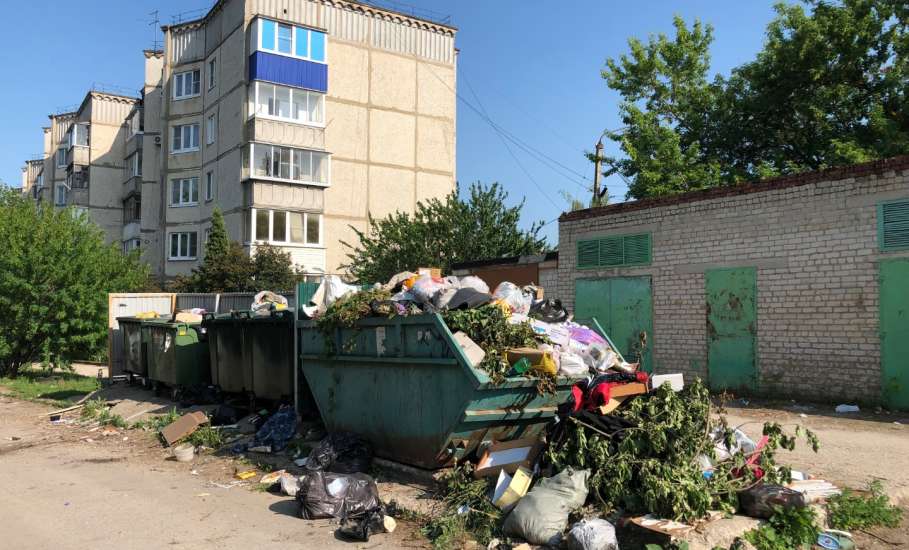 Опять обнаружена свалка мусора в Ельце!