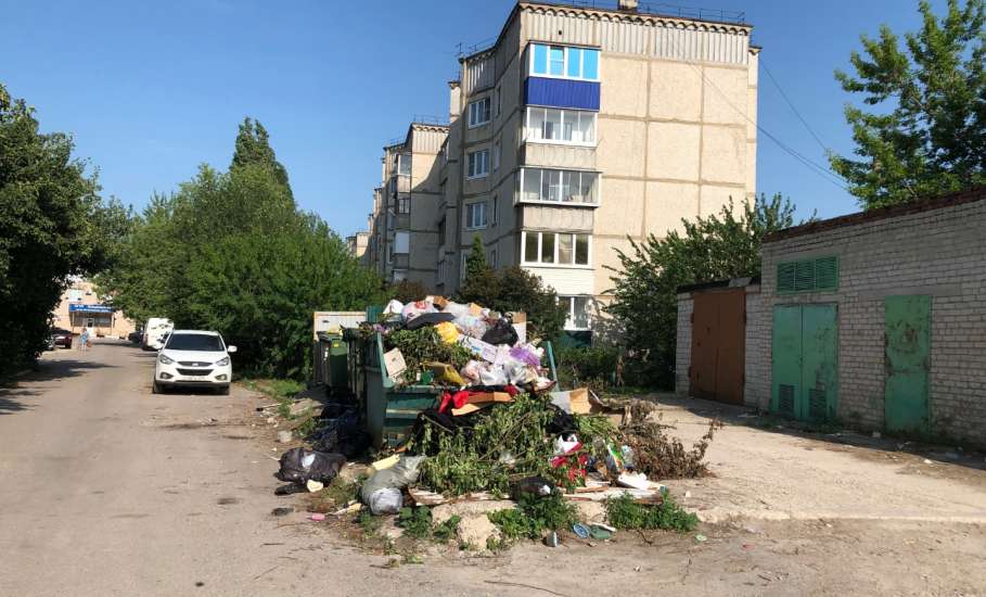 Опять обнаружена свалка мусора в Ельце!